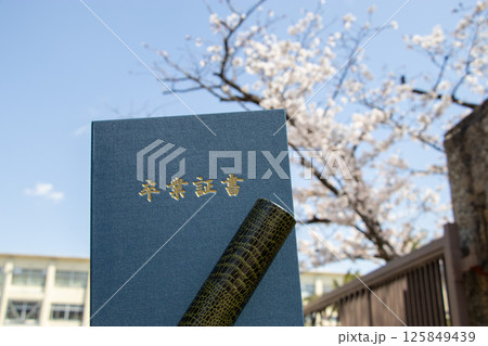 桜 学校 卒業証書 桜 学校 卒業証書 125849439
