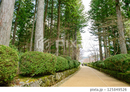 高野山金剛峰寺 蛇腹道 和歌山県 高野山金剛峰寺 蛇腹道 和歌山県 125849526