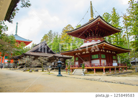 世界遺産高野山壇上伽藍　東塔と根本大塔、大会堂、三昧堂　和歌山県 125849583