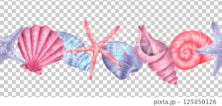Seamless horizontal border of shells. Watercolor illustration of underwater elements, spiral shell, scallop and clam, starfish. Hand drawn pattern. For design of marine theme, children's products. 125850126