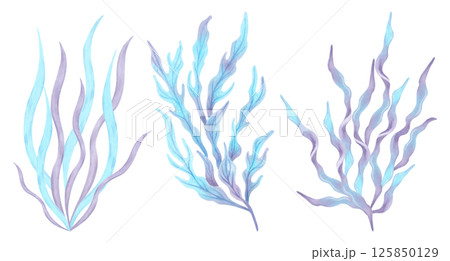 Set of blue violet algae. Watercolor illustrations. Ocean flora plants. Marine clipart of underwater plants. Hand drawn isolated art. For marine theme, cosmetology, spa, children, tourism projects. 125850129