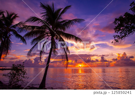 オセアニア・ポリネシアの島国ツバル　首都のフナフティ環礁フォンガファレ島のラグーンに沈む夕陽と夕焼け 125850241