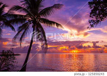 オセアニア・ポリネシアの島国ツバル 首都のフナフティ環礁フォンガファレ島のラグーンに沈む夕陽と夕焼け オセアニア・ポリネシアの島国ツバル 首都のフナフティ環礁フォンガファレ島のラグーンに沈む夕陽と夕焼け 125850243