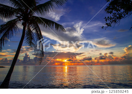 オセアニア・ポリネシアの島国ツバル 首都のフナフティ環礁フォンガファレ島のラグーンに沈む夕陽と夕焼け オセアニア・ポリネシアの島国ツバル 首都のフナフティ環礁フォンガファレ島のラグーンに沈む夕陽と夕焼け 125850245