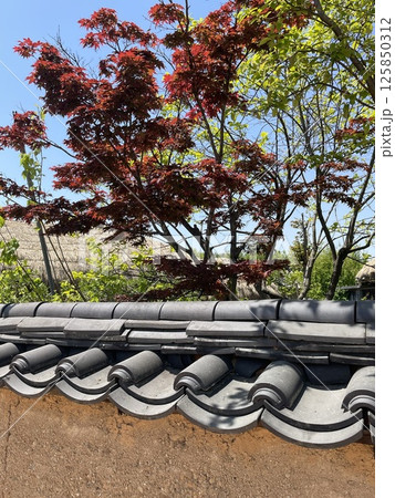 韓屋 春 泉 125850312