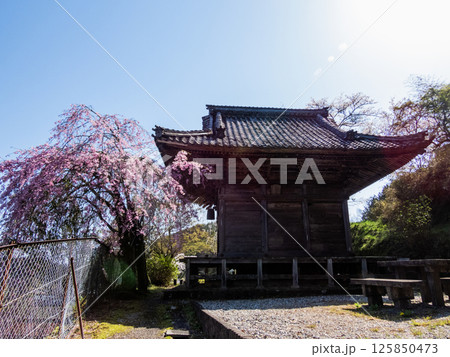 春の大湫宿観音堂の景色 春の大湫宿観音堂の景色 125850473