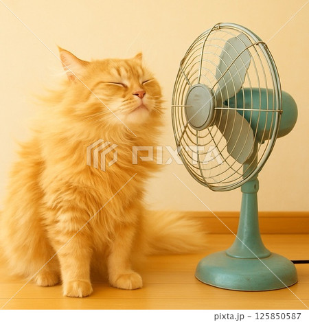扇風機の風を浴びて気持ちよさそうなふさふさの茶色の猫 125850587