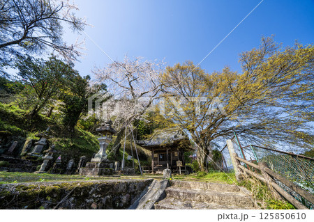 中山道大湫宿観音堂の景色 125850610