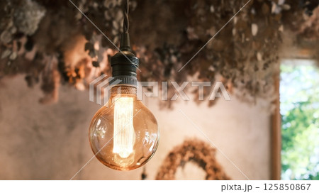 a Incandescent bright bulb under the rooftop of Preserved flower in a natural farm house 125850867