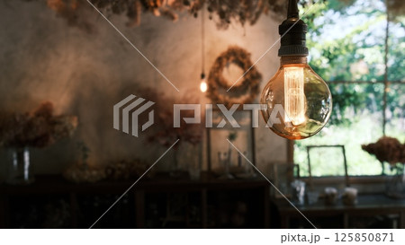 a Incandescent bright bulb under the rooftop of Preserved flower in a natural farm house 125850871