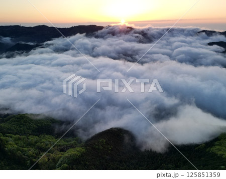 秩父雲海 125851359