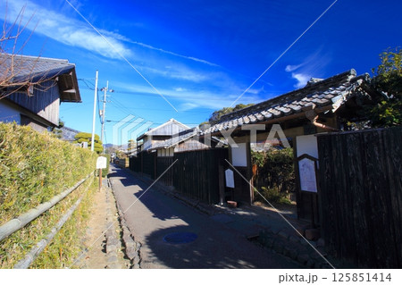 安芸市土居廓中(あきしどいかちゅう)の町並み(野村家住宅)/重要伝統的建造物群保存地区 安芸市土居廓中(あきしどいかちゅう)の町並み(野村家住宅)/重要伝統的建造物群保存地区 125851414