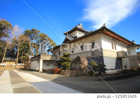 安芸市土居廓中（あきしどいかちゅう）の町並み（安芸城跡、安芸市立歴史民俗博物館） 125851420