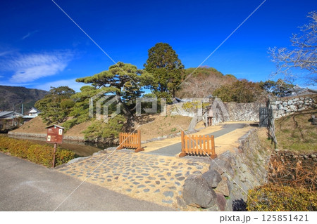 安芸市土居廓中（あきしどいかちゅう）の町並み（安芸城跡）/重要伝統的建造物群保存地区 125851421