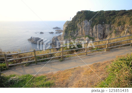 足摺岬、天狗の鼻展望台より足摺岬灯台を望む/日本の灯台50選/足摺宇和国立公園 足摺岬、天狗の鼻展望台より足摺岬灯台を望む/日本の灯台50選/足摺宇和国立公園 125851435