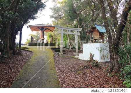 日和佐、大浜海岸の奇勝「えびす洞」山上にある展望台、恵比寿洞神社（夫婦和合の神） 125851464