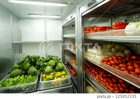 Large fridge in a restaurant kitchen, filled with fresh vegetables, ideal for cold storage and freezer use. Industrial-size refrigerator and freezer in a warehouse setting 125852135