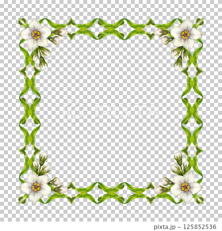 Watercolor floral frame with green vine, leaves, white flowers. Square frame template. Elegant and natural style, perfect for wedding invitations, greeting cards, quotes, or eco-friendly branding 125852536