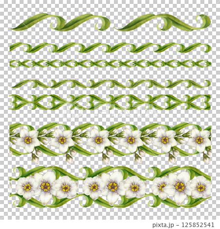Set of watercolor white flowers, green swirl leaves elements to create various seamless borders. Botanical clip art for wedding invitations, eco design, stationery, spring decorations, scrapbooking. 125852541
