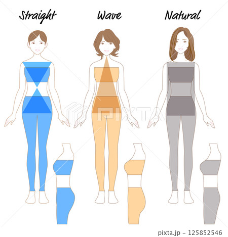 骨格診断 125852546