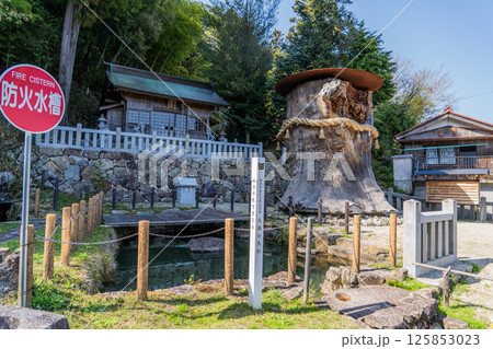 春の中山道大湫宿の景色 春の中山道大湫宿の景色 125853023
