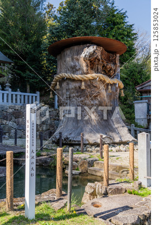 春の中山道大湫宿の景色 春の中山道大湫宿の景色 125853024