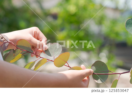 葉っぱを摘む子供 125853047