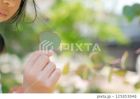 葉っぱを摘む子供 125853048