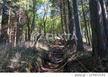 ヤビツ峠から大山山頂 整備されている大山コース登山道の風景 ヤビツ峠から大山山頂 整備されている大山コース登山道の風景 125853143