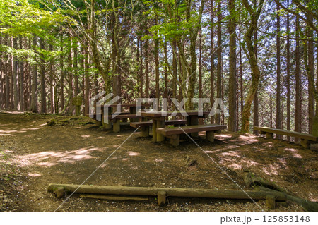 ヤビツ峠から大山山頂　整備されている大山コース登山道の風景 125853148