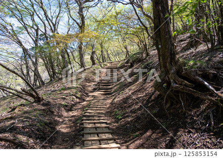 ヤビツ峠から大山山頂　整備されている大山コース登山道の風景 125853154