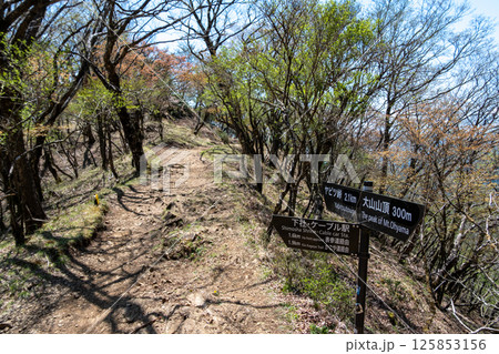 ヤビツ峠から大山山頂　整備されている大山コース登山道の風景 125853156