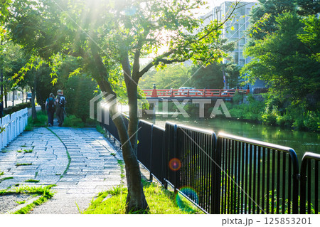 京都 夕日が眩しい白川と慶流橋 京都 夕日が眩しい白川と慶流橋 125853201