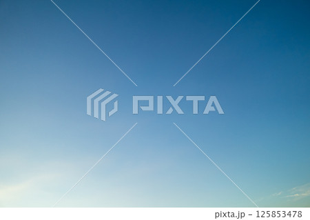 various various 125853478