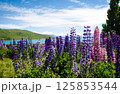 青空に映える紫色の花 125853544