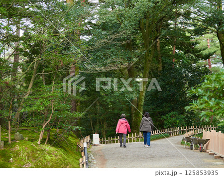 冬の兼六園で観光する女性観光客の姿 125853935