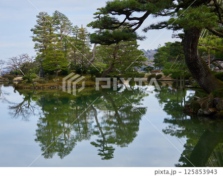 冬の兼六園の名所霞ヶ池の風景 125853943