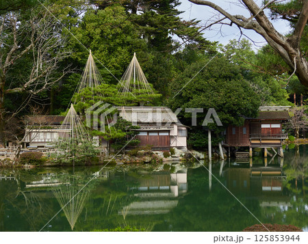 冬の兼六園の名所霞ヶ池の風景 冬の兼六園の名所霞ヶ池の風景 125853944