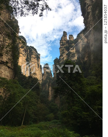 アバターの舞台となった武陵源の風景 アバターの舞台となった武陵源の風景 125854037