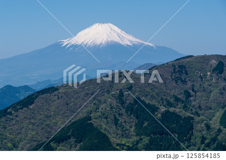 ヤビツ峠〜大山山頂へ向かう登山道(大山ルート)から見える富士山 125854185