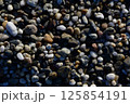 海岸の小さな石 125854191