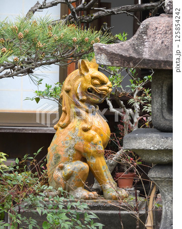 松風天満宮（松宿院）京都で最も恐い面構えの狛犬 125854242