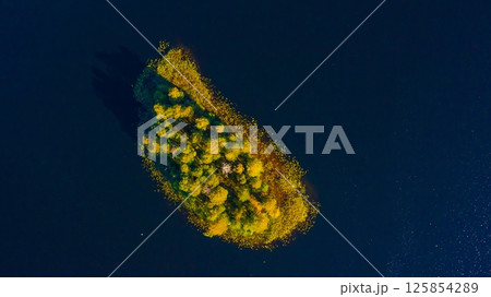 Autumn swamp of colorful leaves top shot. Drone shot aerial view top angle bright sunny day bird sanctuary thorn trees lake pond greenery background wallpaper forest jungle woods canopy afforestation 125854289