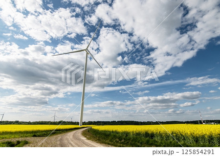 Yellow rapeseed field panorama with wind turbine or wind wheels. 125854291