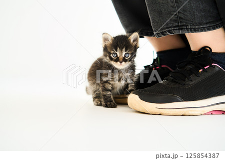 Woman petting cute little kitten. Care concept 125854387
