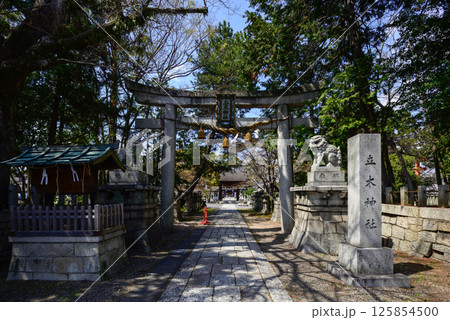 立木神社 125854500