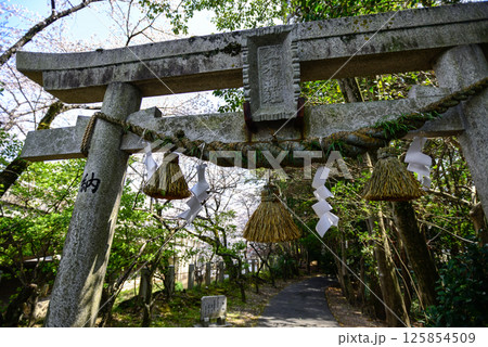 立木神社 125854509