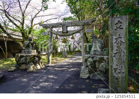 立木神社 125854511