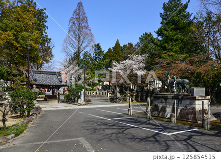 立木神社 立木神社 125854515