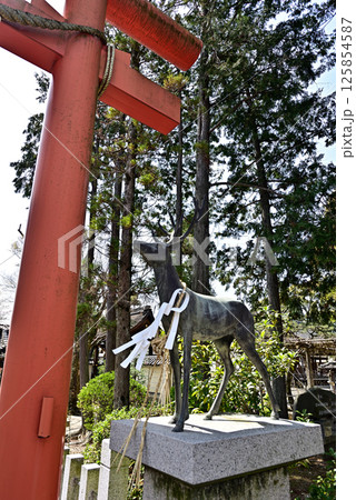 立木神社　神鹿 125854587